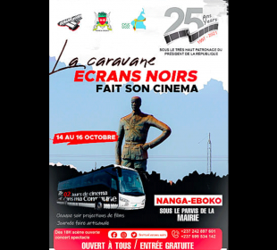 Ecrans noirs à Nanga-Eboko